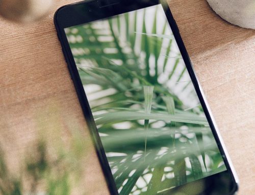 You’re the Business Owner. Let Us Be the Tech.